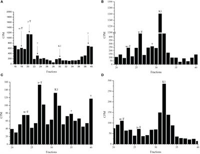 Presence of Phylloquinone in the Intraerythrocytic Stages of Plasmodium falciparum